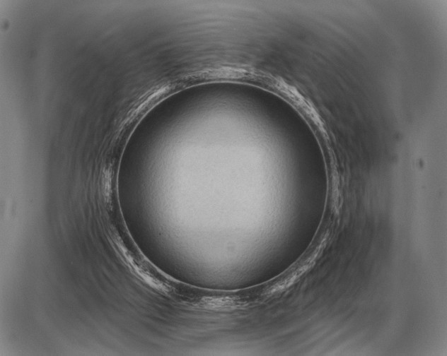 X0000085060057200703191336