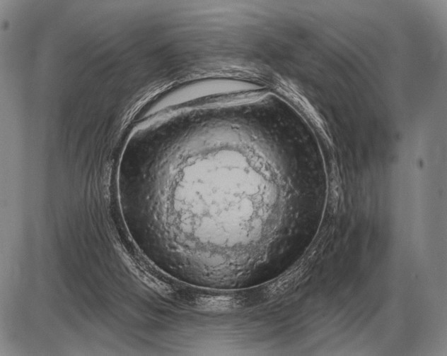 X0000085060058200703191336