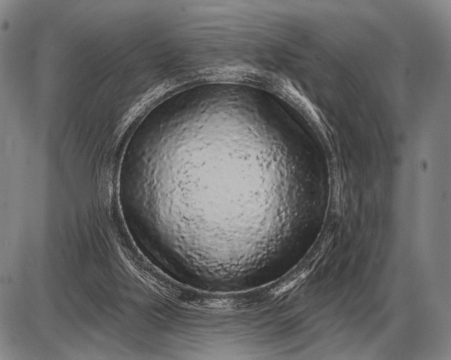 X0000085060059200703191336