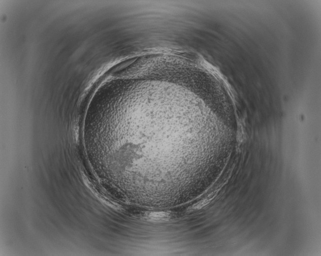 X0000085060060200703191336