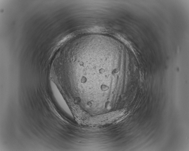 X0000085060061200703191336