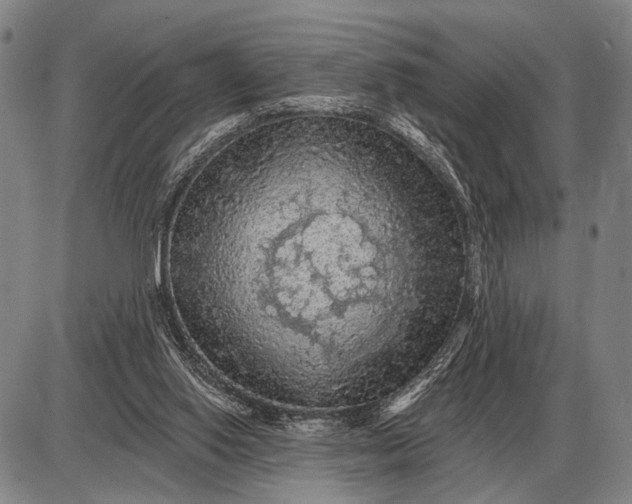 X0000085060062200703191336