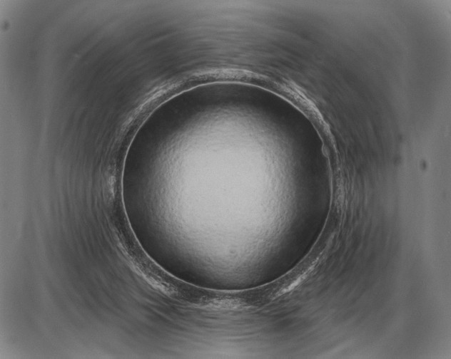 X0000085060063200703191336