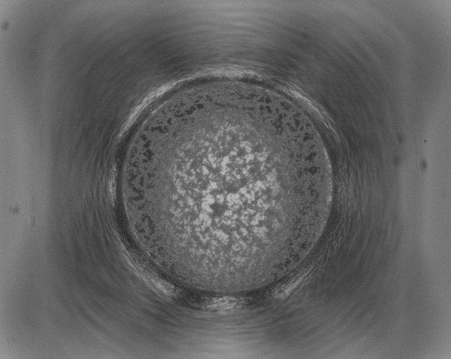 X0000085060064200703191336