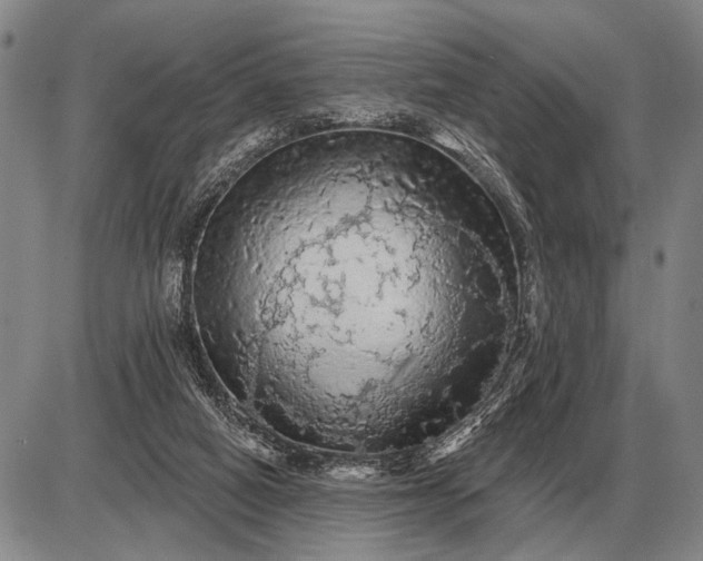 X0000085060066200703191336