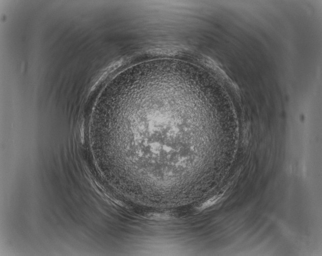 X0000085060068200703191336