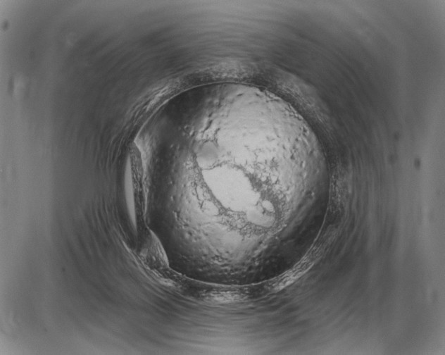 X0000085060070200703191336