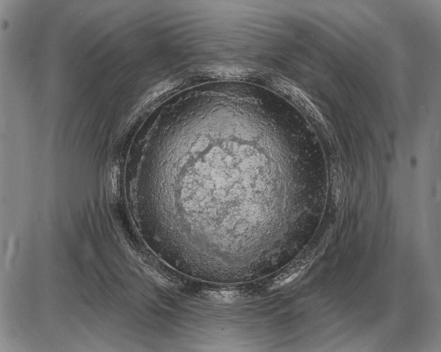 X0000085060071200703191336