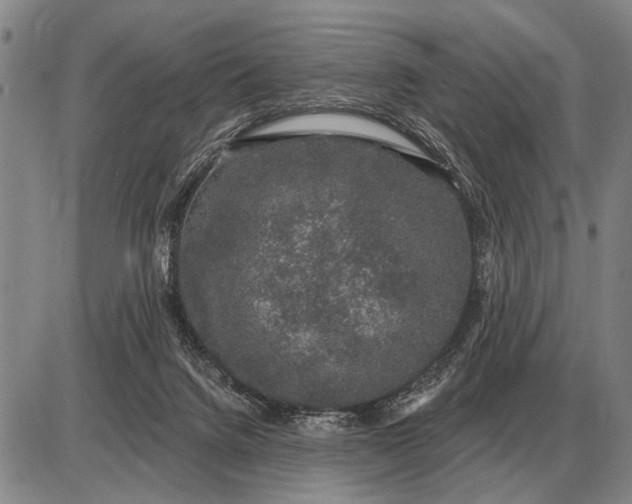 X0000085060072200703191336