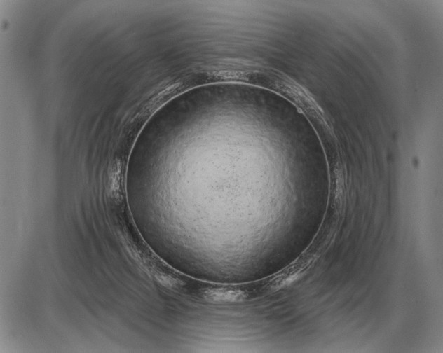 X0000085060073200703191336