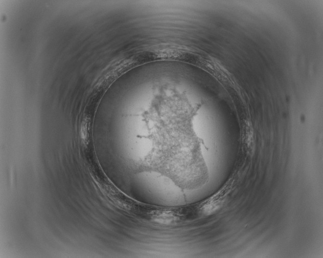 X0000085060074200703191336