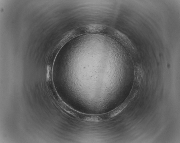 X0000085060075200703191336