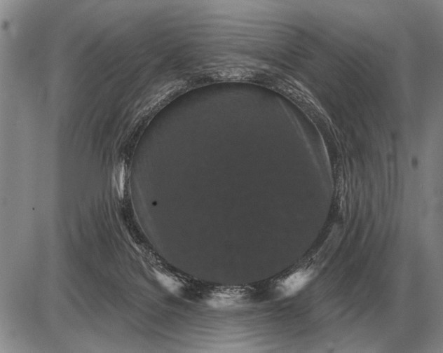 X0000085060076200703191336