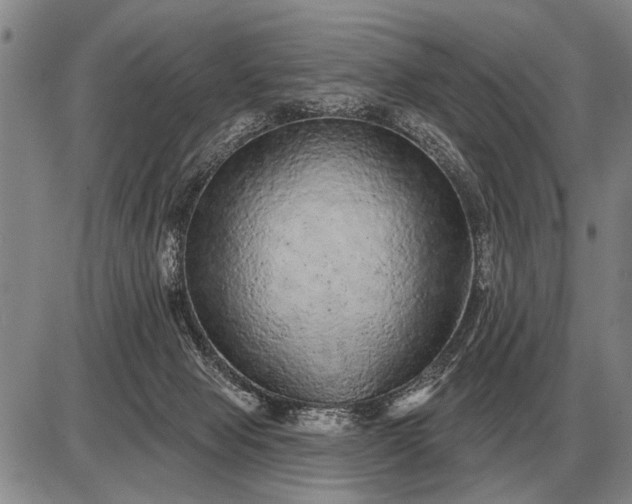 X0000085060077200703191336