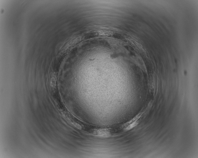 X0000085060078200703191336