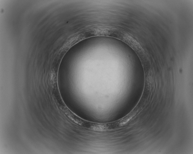 X0000085060079200703191336