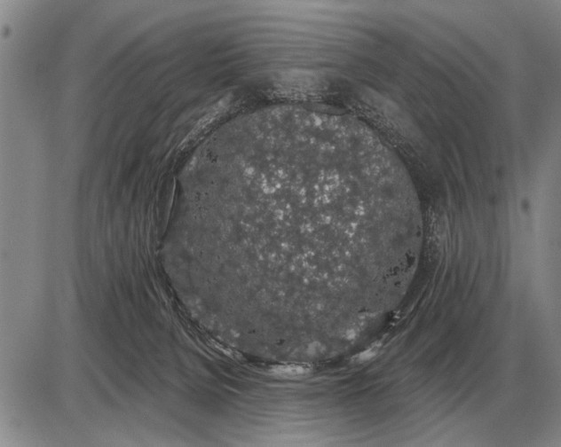 X0000085060080200703191336