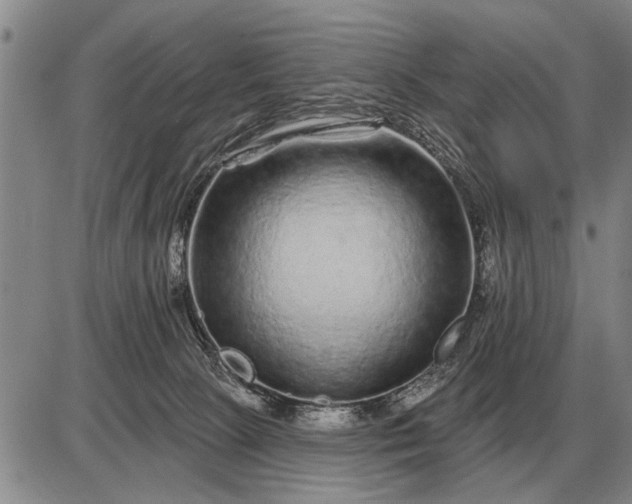 X0000085060081200703191336