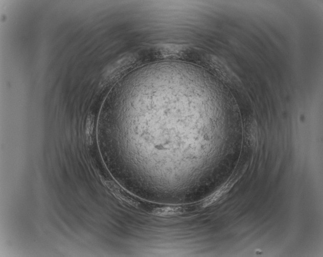 X0000085060082200703191336