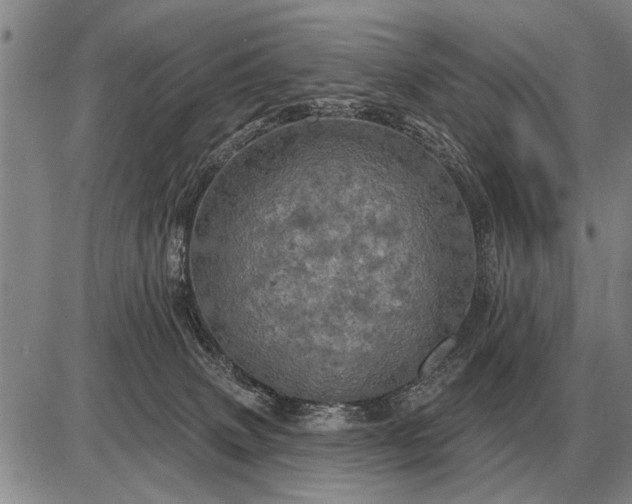 X0000085060083200703191336