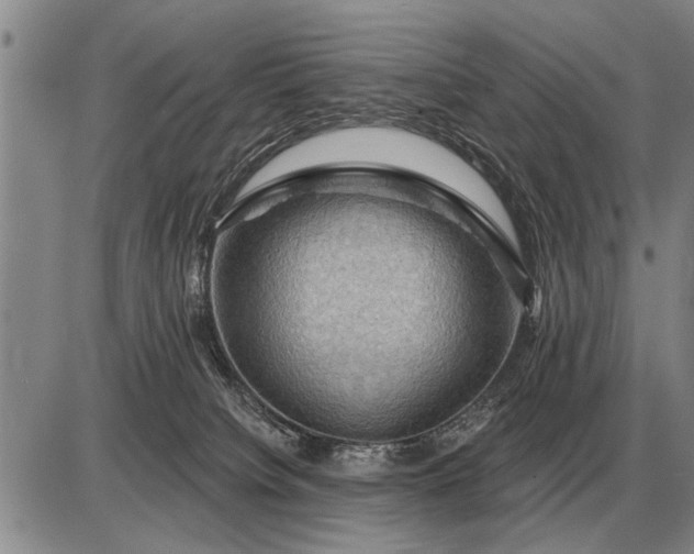 X0000085060084200703191336