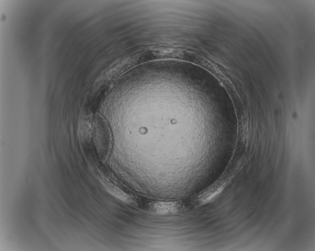 X0000085060085200703191336