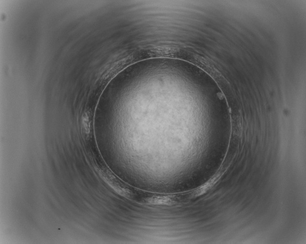 X0000085060086200703191336