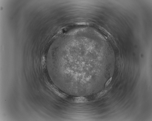 X0000085060087200703191336