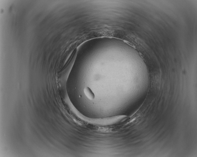 X0000085060088200703191336