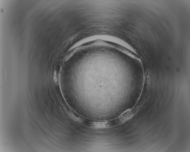 X0000085060089200703191336