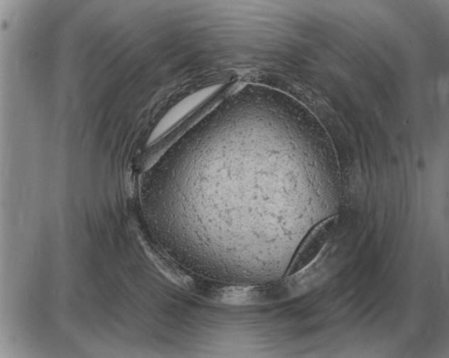 X0000085060090200703191336