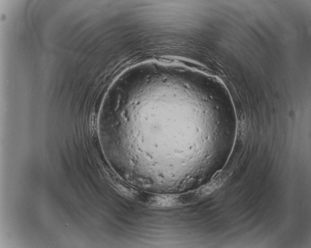 X0000085060093200703191336