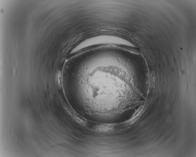 X0000085060094200703191336