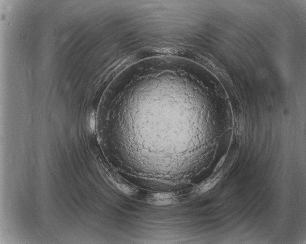 X0000085060095200703191336