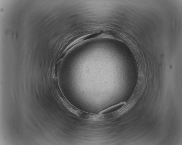 X0000085060096200703191336