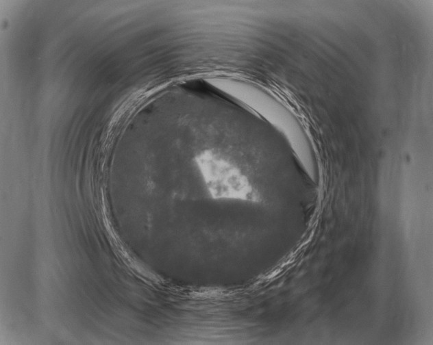 X0000085060097200703191335