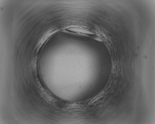 X0000085060098200703191335