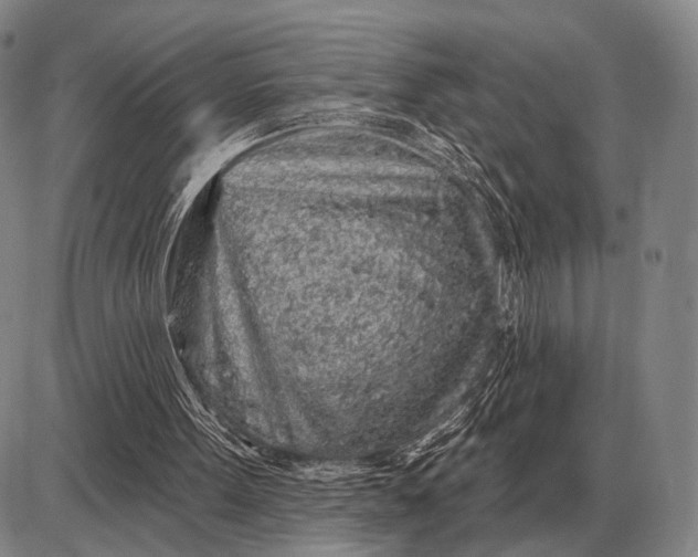 X0000085060099200703191335