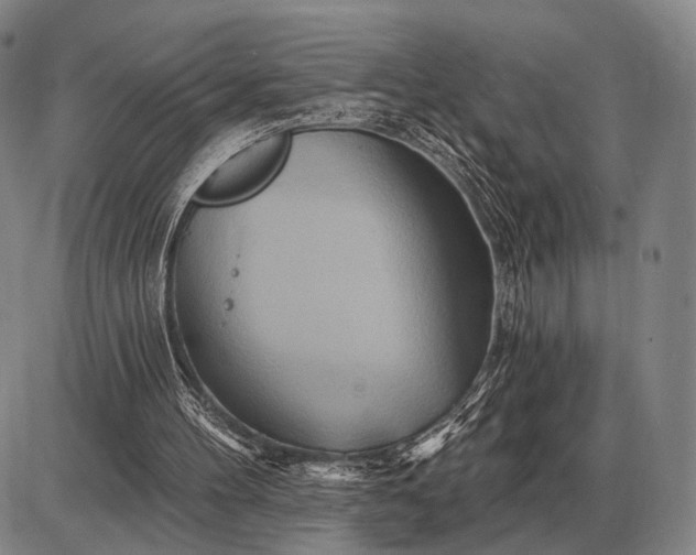 X0000085060100200703191335