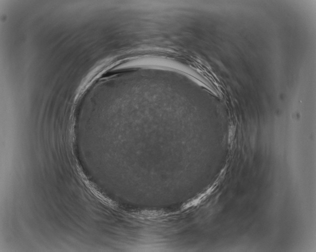 X0000085060101200703191335