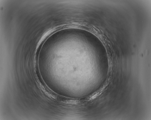 X0000085060102200703191335