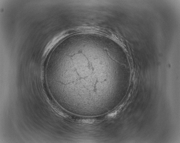 X0000085060103200703191335