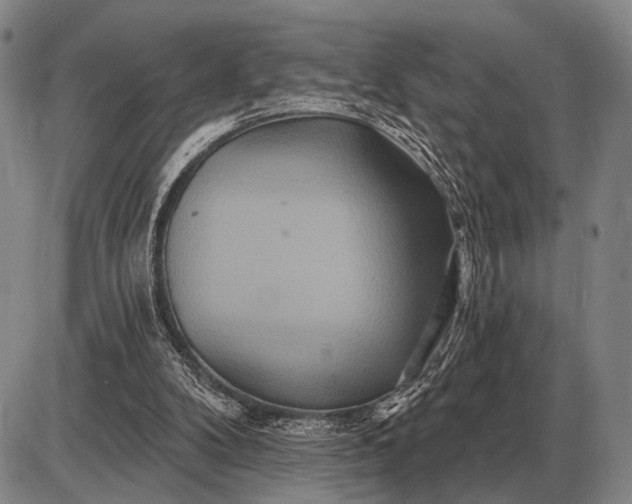 X0000085060104200703191335