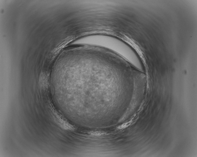 X0000085060105200703191335