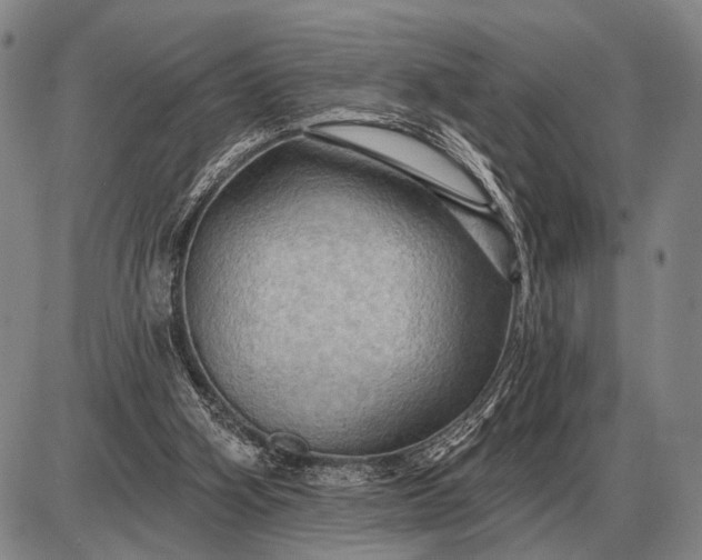 X0000085060106200703191335