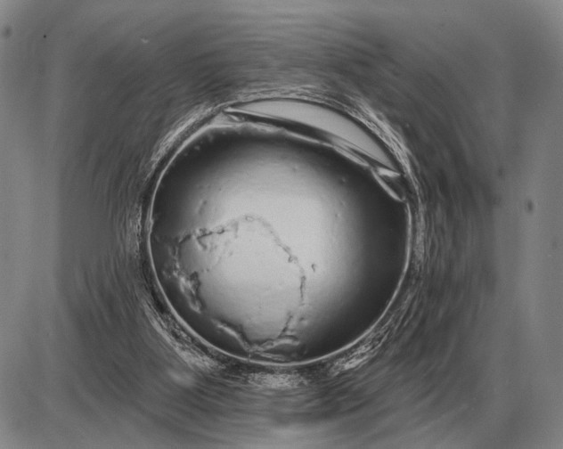 X0000085060107200703191335