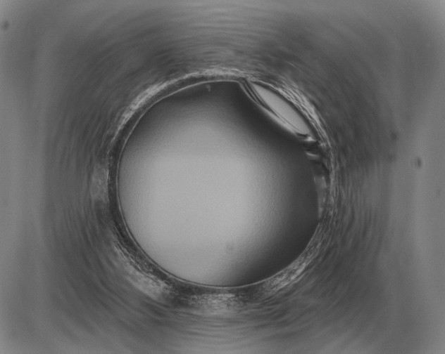 X0000085060108200703191335