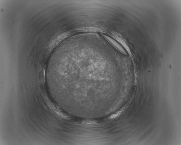 X0000085060109200703191335