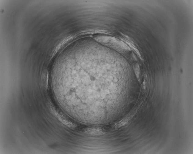 X0000085060110200703191335