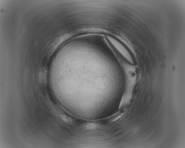 X0000085060111200703191335